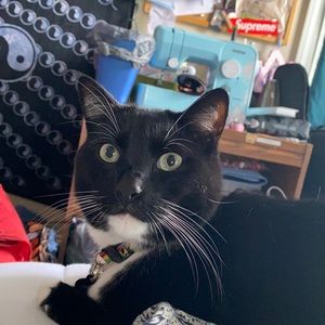 PLZ, MAKE AN OFFER!! 😇😇